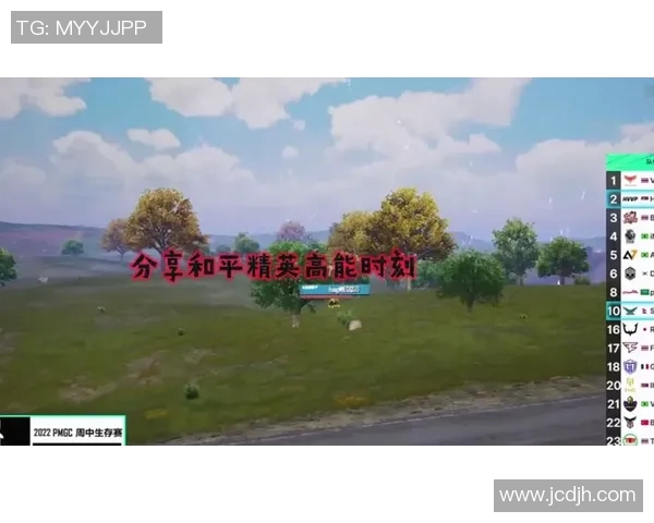 和平精英战术解析V5区域防守体系的全面战略与实战应用探讨MBA