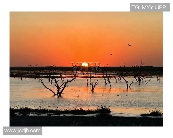 探索埃斯特旺的魅力与文化遗产，感受独特的历史氛围与自然风光